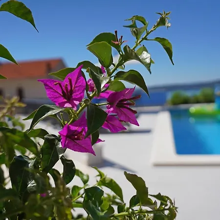 Petra Seget Donji/trogir